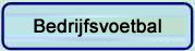 Sandro Bedrijfsvoetbal